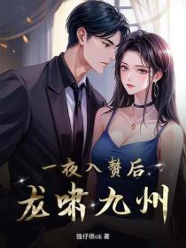 一夜入赘后龙啸九州