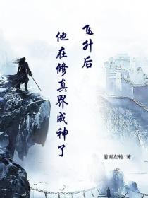 飛升後他在修真界成神了