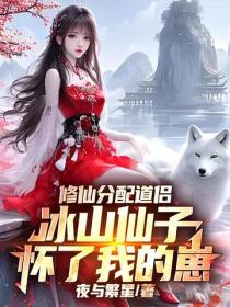 修仙分配道侶，冰山仙子懷了我的崽