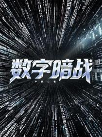 數字暗戰