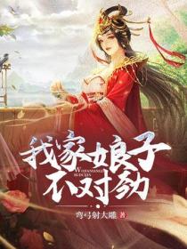 我家娘子不對勁