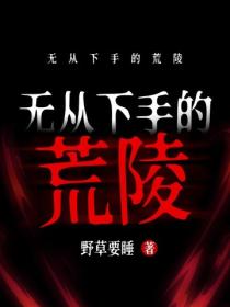 无从下手的荒陵