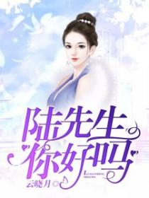 陸先生，你好嗎？