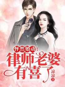 怦然婚動：律師老婆有喜了