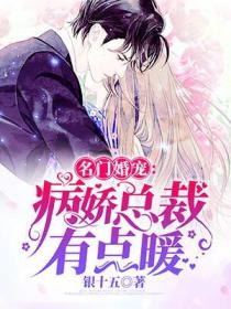 名門婚寵：病嬌總裁有點暖