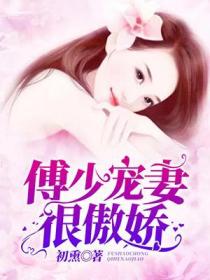 傅少寵妻很傲嬌