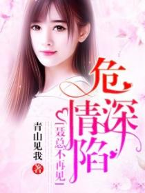 危情深陷，聶總不再見