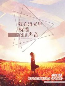 我在流光里枕着你的声音