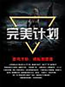 完美计划