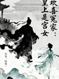 歡喜冤家：皇上是宮女