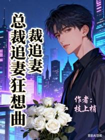 總裁追妻狂想曲