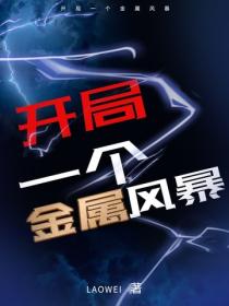 開局一個金屬風暴