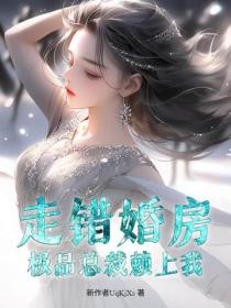 走错婚房，极品总裁赖上我