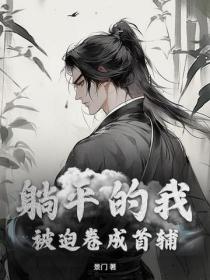 躺平的我，被迫卷成首輔