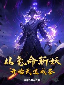 從氪命斬妖開始武道成聖