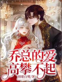 喬總的愛高攀不起