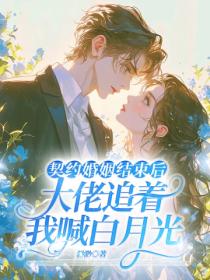 契約婚姻結束後，大佬追著我喊白月光