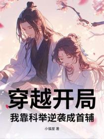 穿越開局：我靠科舉逆襲成首輔