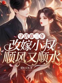 守活寡三年，改嫁小叔順風又順水