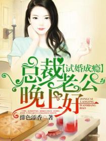 總裁老公晚上好