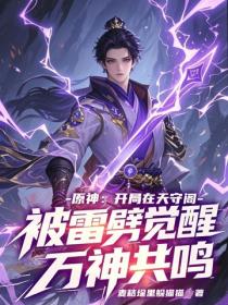 原神：開局在天守閣被雷劈覺醒萬神共鳴