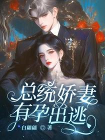 總統嬌妻，有孕出逃