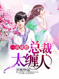 一夜成婚：總裁太纏人