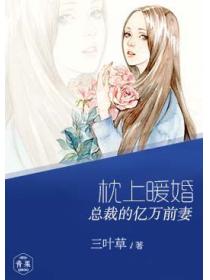 枕上暖婚：總裁的億萬前妻