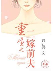 重生之二嫁前夫
