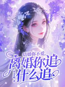 结婚你不爱，离婚你追什么追？