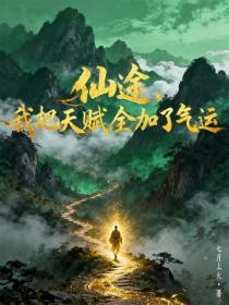 仙途，我把天賦全加了氣運