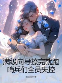 滿級向導撩完就跑，哨兵們全員失控