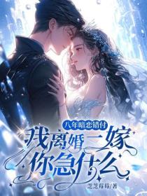八年暗恋错付，我离婚二嫁你急什么？