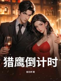 猎鹰倒计时