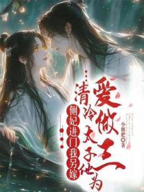 侧妃进门我另嫁，清冷太子他为爱做三