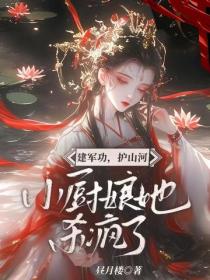 建军功，护山河，小厨娘她杀疯了