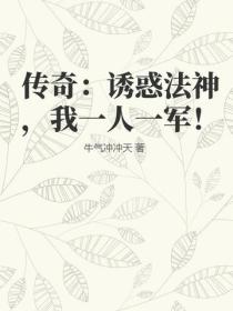 传奇：诱惑法神，我一人一军！