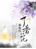 搖曳的丁香花