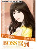 百萬契約：BOSS駕到