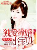 婚孕似錦：獨愛撞婚小寶貝