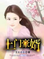 上门豪婿