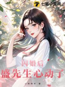 闪婚后，盛先生心动了