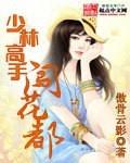 少林高手闖花都