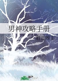 男神攻略手冊