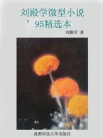 劉殿學微型小說95精選本