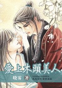 爱上木头美人