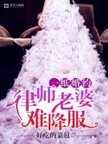 律师老婆难降服