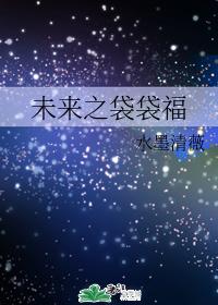 未來之袋袋福
