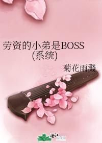 勞資的小弟是boss