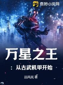 万星之王：从古武机甲开始